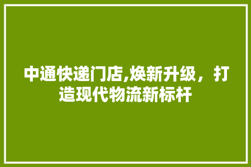 中通快递门店,焕新升级，打造现代物流新标杆 现代风格装饰