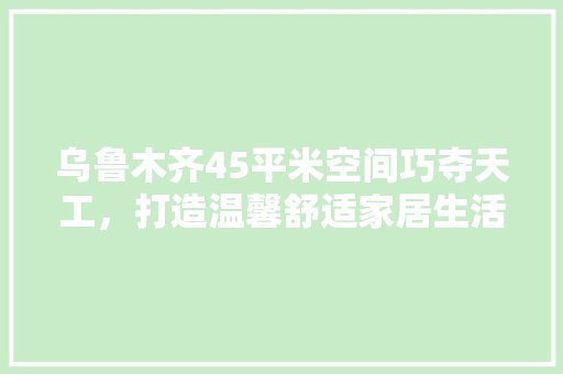 乌鲁木齐45平米空间巧夺天工，打造温馨舒适家居生活 地板材料