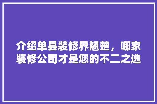 介绍单县装修界翘楚，哪家装修公司才是您的不二之选