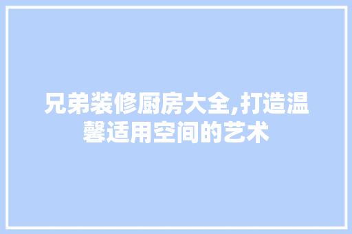 兄弟装修厨房大全,打造温馨适用空间的艺术 现代风格装饰