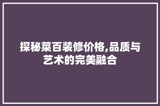探秘菜百装修价格,品质与艺术的完美融合 现代风格装饰