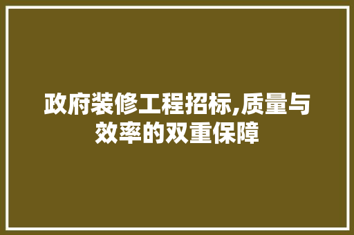 政府装修工程招标,质量与效率的双重保障