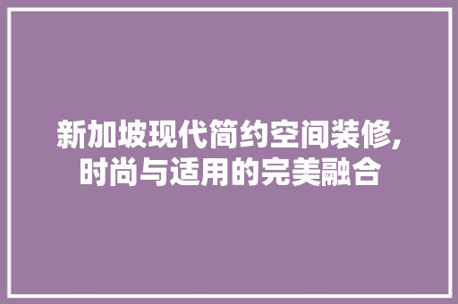新加坡现代简约空间装修,时尚与适用的完美融合 室内设计