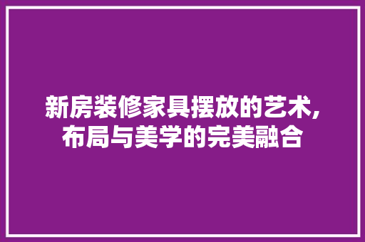 新房装修家具摆放的艺术,布局与美学的完美融合 现代风格装饰