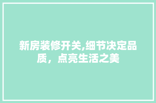 新房装修开关,细节决定品质，点亮生活之美 家居装修