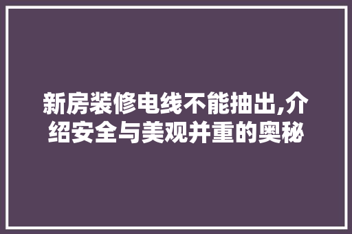 新房装修电线不能抽出,介绍安全与美观并重的奥秘 软装设计
