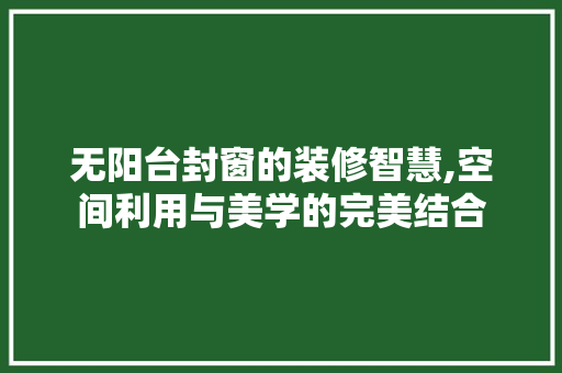 无阳台封窗的装修智慧,空间利用与美学的完美结合 软装设计