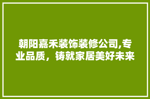 朝阳嘉禾装饰装修公司,专业品质，铸就家居美好未来