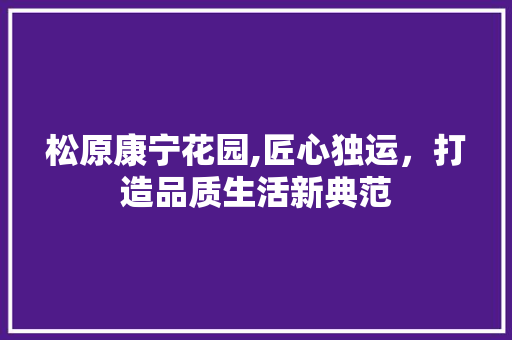 松原康宁花园,匠心独运，打造品质生活新典范 现代风格装饰