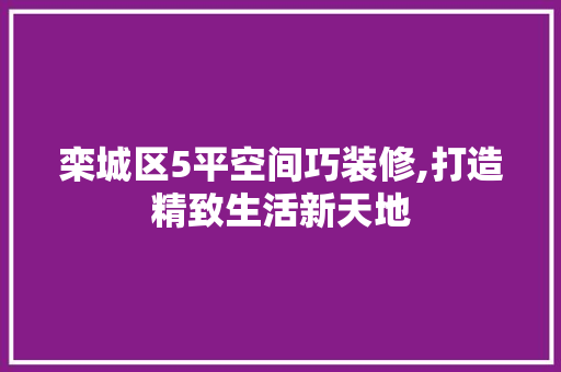栾城区5平空间巧装修,打造精致生活新天地 室内设计