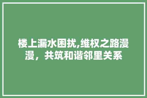 楼上漏水困扰,维权之路漫漫，共筑和谐邻里关系 现代风格装饰