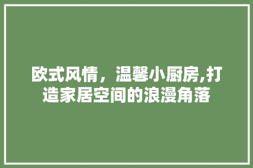 欧式风情，温馨小厨房,打造家居空间的浪漫角落 卧室装修