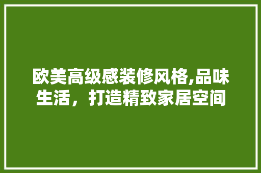 欧美高级感装修风格,品味生活，打造精致家居空间 软装设计