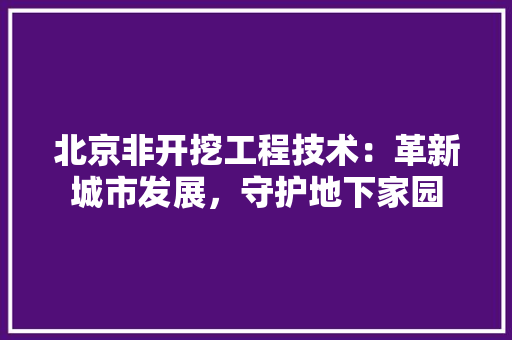 北京非开挖工程技术：革新城市发展，守护地下家园 家居装修