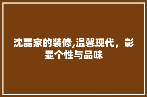 沈磊家的装修,温馨现代，彰显个性与品味 软装设计