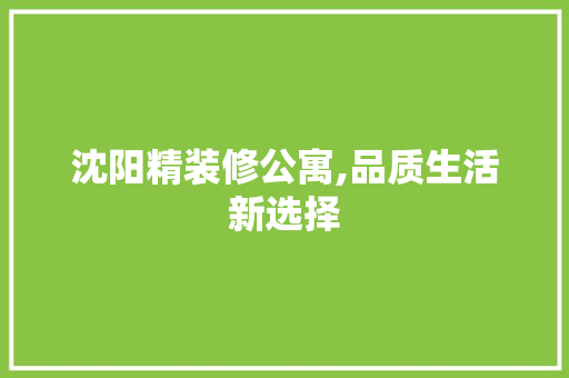 沈阳精装修公寓,品质生活新选择 家居装修