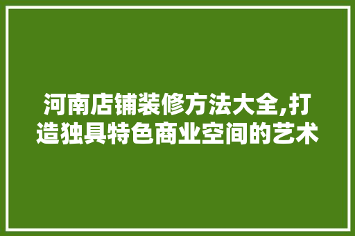 河南店铺装修方法大全,打造独具特色商业空间的艺术之旅 软装设计