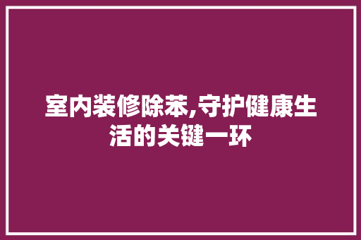 室内装修除苯,守护健康生活的关键一环 现代风格装饰
