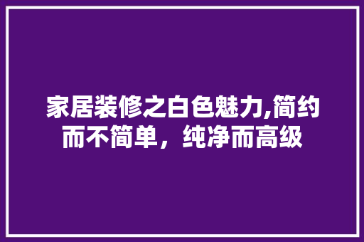 家居装修之白色魅力,简约而不简单，纯净而高级 现代风格装饰