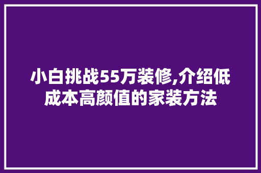 小白挑战55万装修,介绍低成本高颜值的家装方法 地板材料