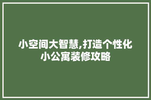 小空间大智慧,打造个性化小公寓装修攻略 家居装修