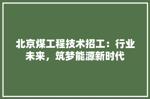 北京煤工程技术招工：行业未来，筑梦能源新时代 家居装修