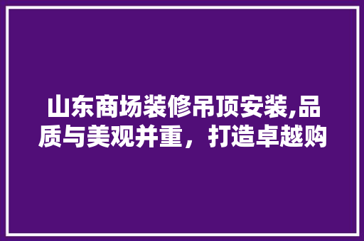 山东商场装修吊顶安装,品质与美观并重，打造卓越购物环境 家居装修
