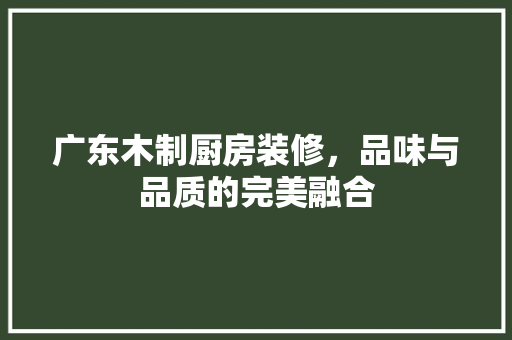 广东木制厨房装修，品味与品质的完美融合 现代风格装饰