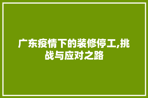 广东疫情下的装修停工,挑战与应对之路 木雕艺术