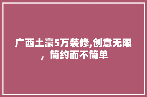 广西土豪5万装修,创意无限，简约而不简单 室内设计