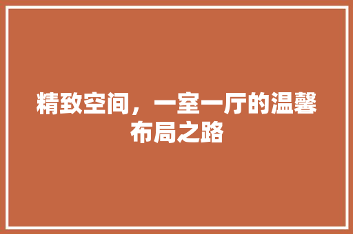 精致空间，一室一厅的温馨布局之路 室内设计