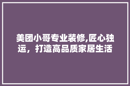 美团小哥专业装修,匠心独运，打造高品质家居生活