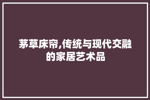 茅草床帘,传统与现代交融的家居艺术品 客厅装修