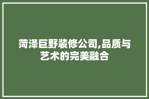 菏泽巨野装修公司,品质与艺术的完美融合
