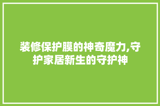 装修保护膜的神奇魔力,守护家居新生的守护神 木雕艺术