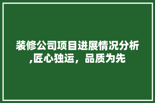 装修公司项目进展情况分析,匠心独运，品质为先 客厅装修