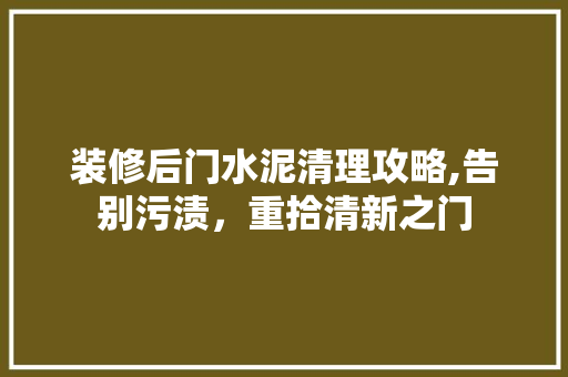 装修后门水泥清理攻略,告别污渍，重拾清新之门 地板材料