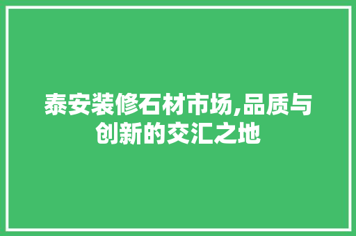 泰安装修石材市场,品质与创新的交汇之地 木雕艺术