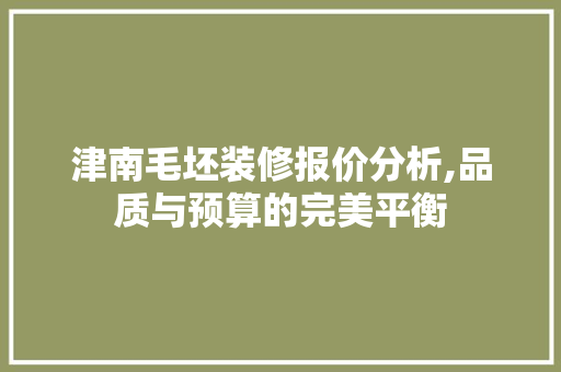 津南毛坯装修报价分析,品质与预算的完美平衡 现代风格装饰