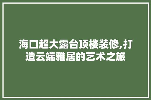 海口超大露台顶楼装修,打造云端雅居的艺术之旅 现代风格装饰