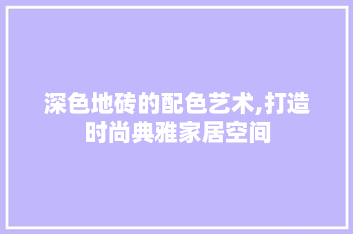 深色地砖的配色艺术,打造时尚典雅家居空间