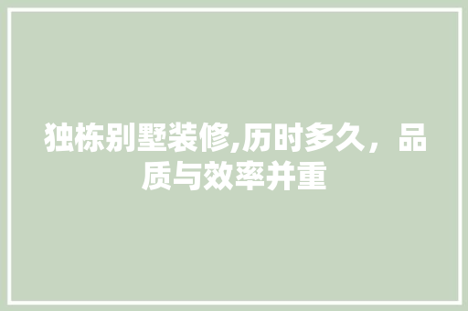 独栋别墅装修,历时多久，品质与效率并重 软装设计