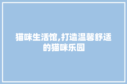 猫咪生活馆,打造温馨舒适的猫咪乐园