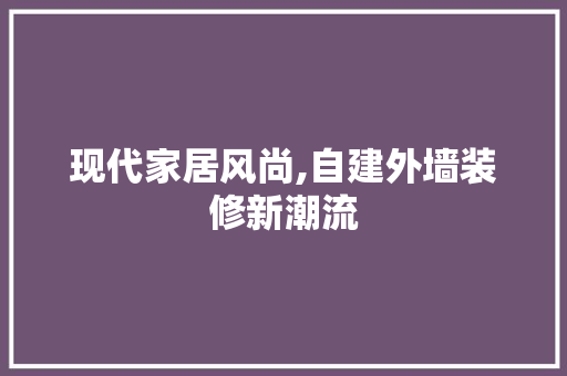 现代家居风尚,自建外墙装修新潮流 现代风格装饰