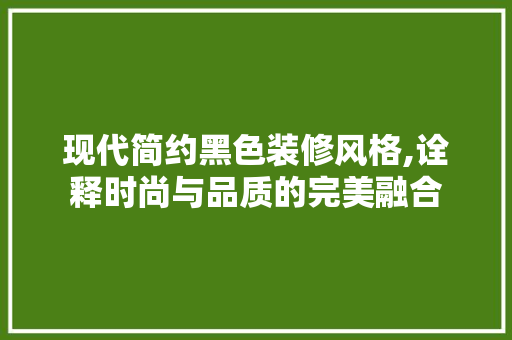 现代简约黑色装修风格,诠释时尚与品质的完美融合 地板材料