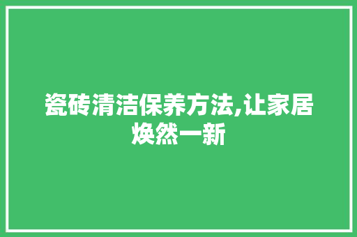 瓷砖清洁保养方法,让家居焕然一新 地板材料