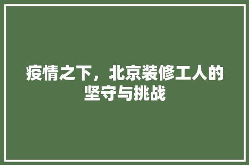 疫情之下，北京装修工人的坚守与挑战 木雕艺术
