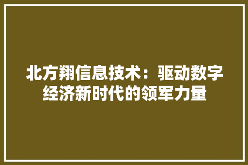 北方翔信息技术：驱动数字经济新时代的领军力量