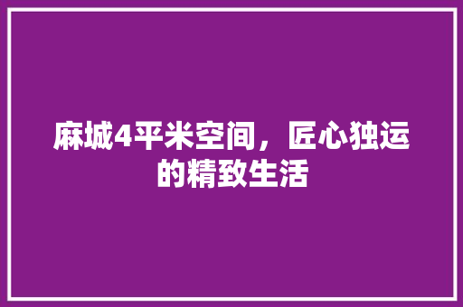 麻城4平米空间，匠心独运的精致生活 现代风格装饰