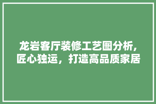 龙岩客厅装修工艺图分析,匠心独运，打造高品质家居空间 现代风格装饰